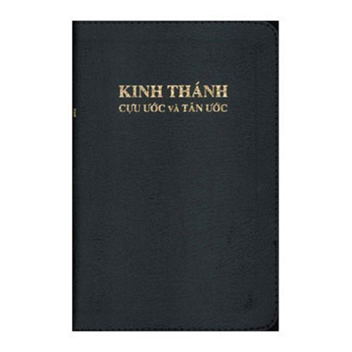 Kinh Thanh - Vietnamese Language Bible (Vietnamese Edition)