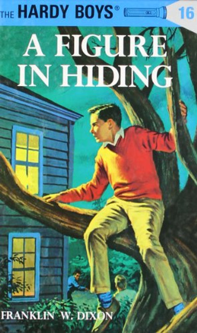 A Figure in Hiding (The Hardy Boys #16)