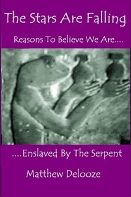 The Stars are Falling: Reasons to Believe We are Enslaved by the Serpent