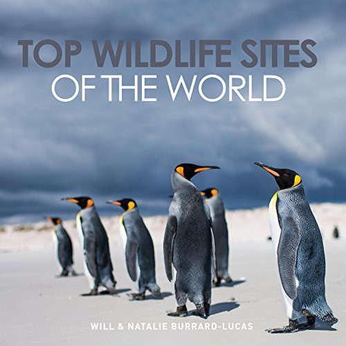 Top Wildlife Sites Of The World