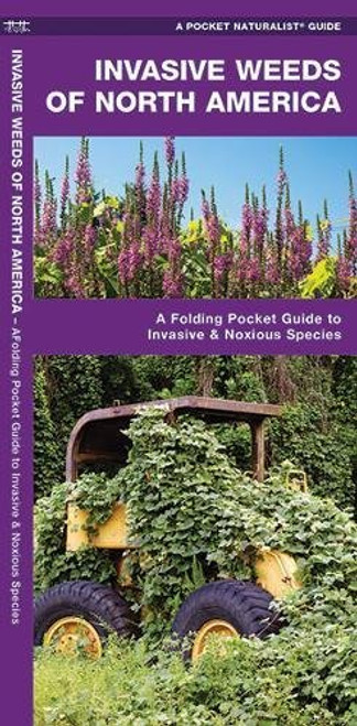 Invasive Weeds of North America: A Folding Pocket Guide to Invasive & Noxious Species (A Pocket Naturalist Guide)