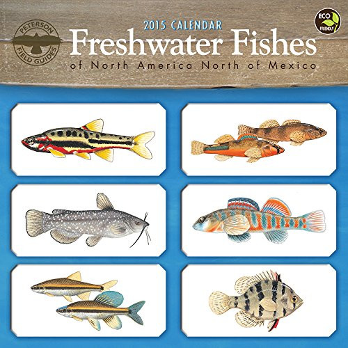 2015 Freshwater Fishes Wall Calendar