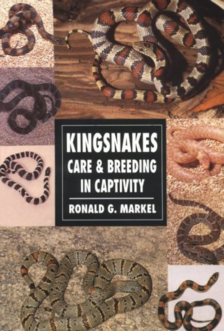 Kingsnakes: Care & Breeding in Captivity