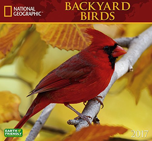 National Geographic Backyard Birds 2017 Wall Calendar