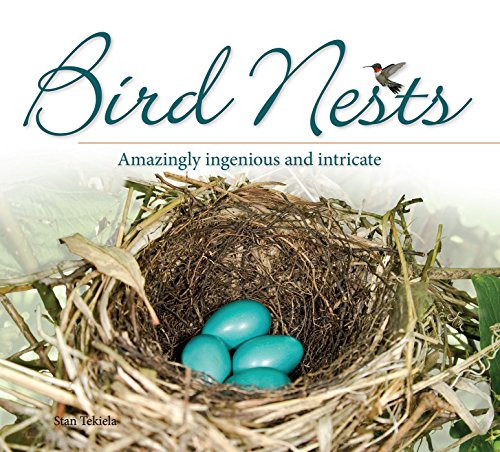 Bird Nests: Amazingly Ingenious and Intricate (Bird Appreciation)