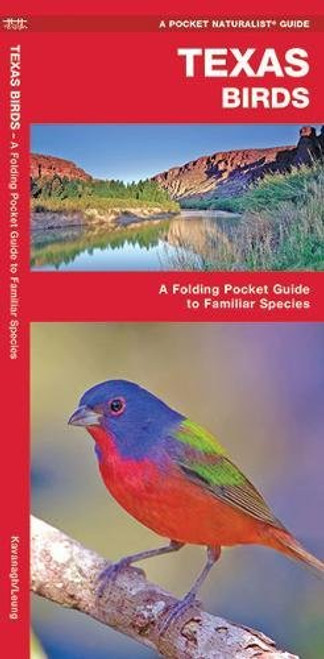 Texas Birds: A Folding Pocket Guide to Familiar Species (A Pocket Naturalist Guide)
