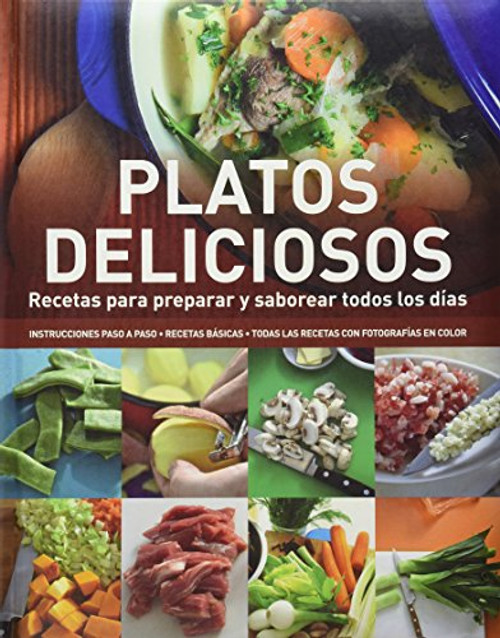 Enciclopedia de Cocina: Platos Deliciosos (Spanish Edition) (Cook's Ency Pull-Out)