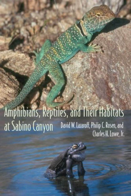 Amphibians, Reptiles, and Their Habitats at Sabino Canyon (The Southwest Center Series)