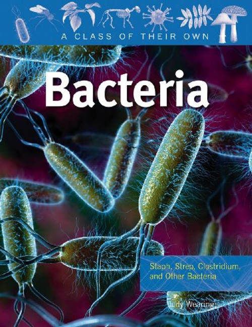 Bacteria: Staph, Strep, Clostridium, and Other Bacteria (A Class of Their Own)
