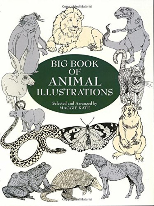 Big Book of Animal Illustrations (Dover Pictorial Archive)
