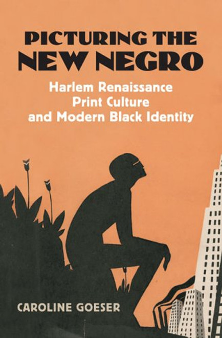 Picturing the New Negro: Harlem Renaissance Print Culture and Modern Black Identity (Cultureamerica)