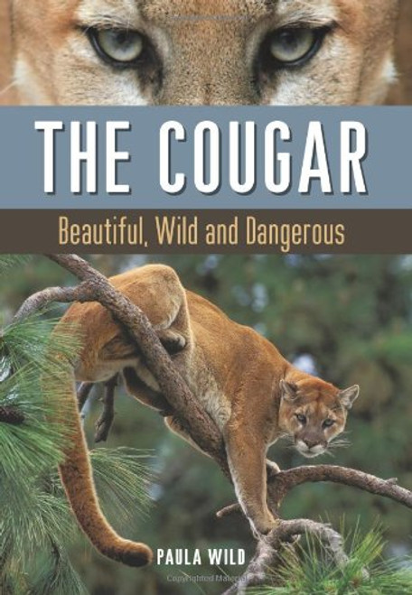 The Cougar: Beautiful, Wild and Dangerous