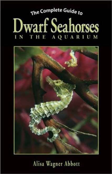 The Complete Guide to Dwarf Seahorses in the Aquarium