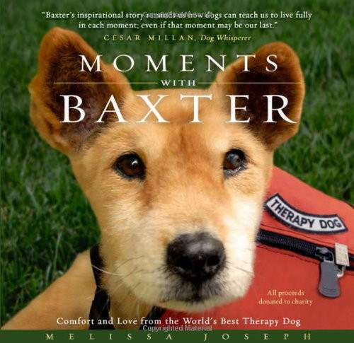 Moments With Baxter: Comfort and Love from the World's Best Therapy Dog