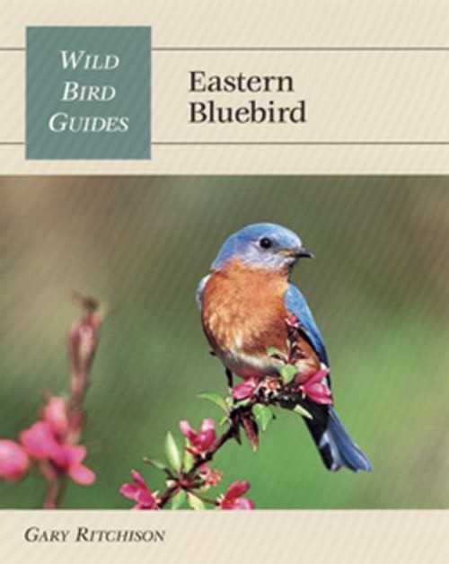 Wild Bird Guide: Eastern Bluebird (Wild Bird Guides)