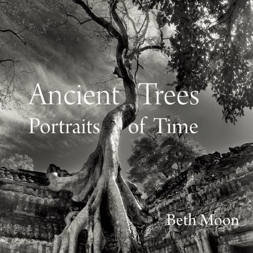 Ancient Trees: Portraits of Time