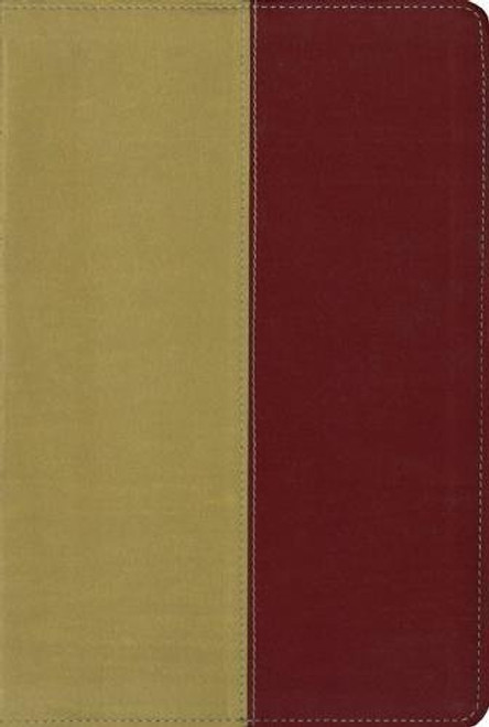 KJV, Amplified, Parallel Bible, Imitation Leather, Yellow/Red