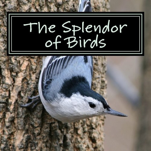 The Splendor of Birds: A Picture Book for Seniors, Adults with Alzheimer's and Others (Picture Books for Seniors, Alzheimer's Patients, Adults with ... and Others; A 'No Text' Book) (Volume 5)