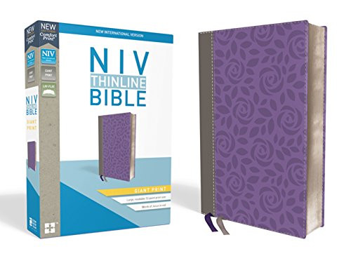 NIV, Thinline Bible, Giant Print, Leathersoft, Gray/Purple, Red Letter Edition, Comfort Print