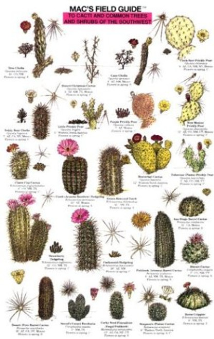 Mac's Field Guide to Cacti and Common Trees and Shrubs of the Southwest (Mac's Guides) (Mac's Guides (Paperback))