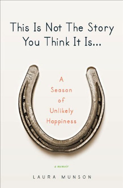 This Is Not The Story You Think It Is: A Season of Unlikely Happiness