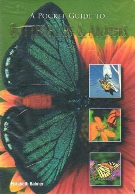 A Pocket Guide to Butterflies & Moths