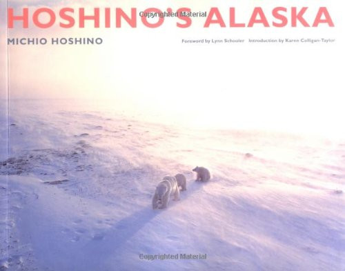 Hoshino's Alaska