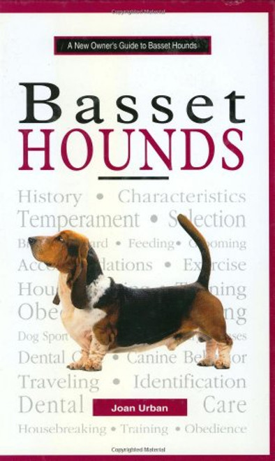 A New Owner's Guide to Basset Hounds
