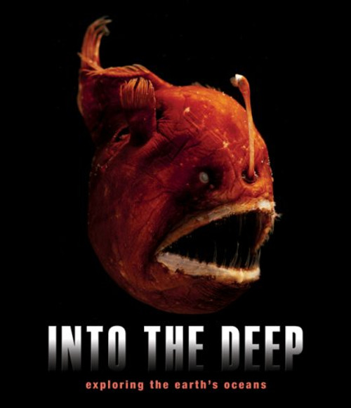 Into the Deep