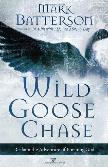 Wild Goose Chase: Reclaim the Adventure of Pursuing God