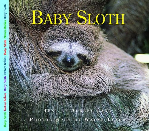 Baby Sloth (Nature Babies)