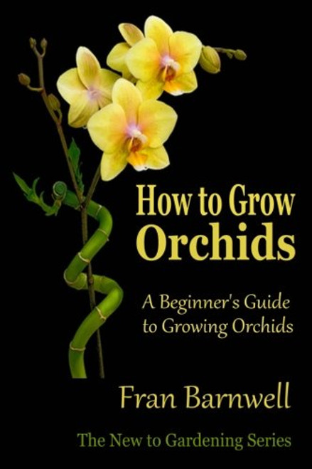 How to Grow Orchids: A Beginners Guide to Growing Orchids