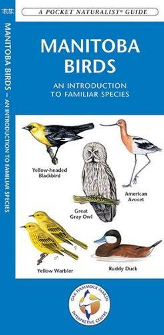 Manitoba Birds: A Folding Pocket Guide to Familiar Species (A Pocket Naturalist Guide)