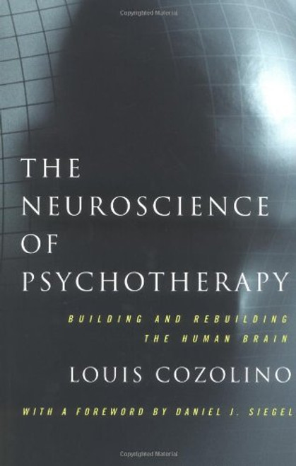 The Neuroscience of Psychotherapy: Building and Rebuilding the Human Brain (Norton Series on Interpersonal Neurobiology)