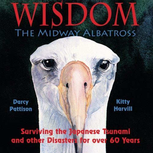 Wisdom, The Midway Albatross: Surviving the Japanese Tsunami and other Disasters for over 60 Years