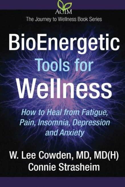 BioEnergetic Tools for Wellness (The Journey to Wellness) (Volume 3)