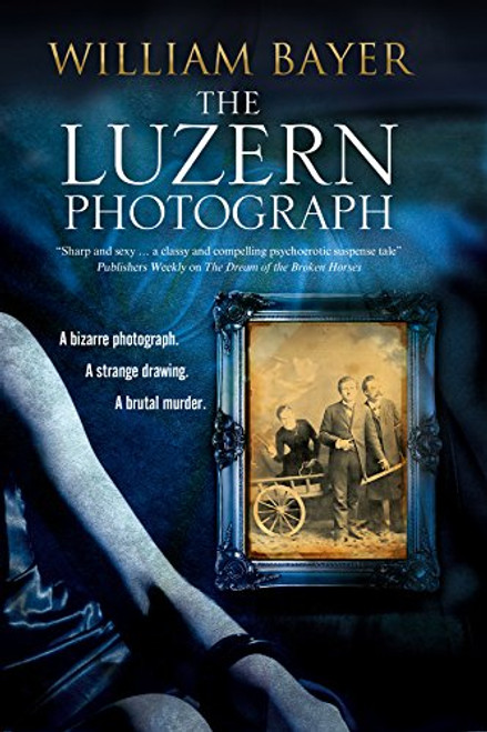 Luzern Photograph, The: A noir thriller