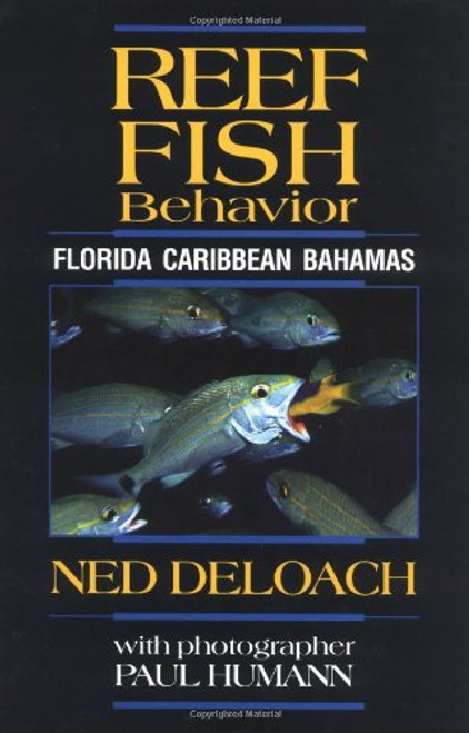 Reef Fish Behavior: Florida, Caribbean, Bahamas