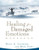 Healing for Damaged Emotions Workbook (David Seamands Series)
