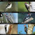 National Audubon Society Field Guide to North American Birds, Western Region
