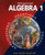McDougal Littell Algebra 1: Applications, Equations, Graphs