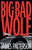 The Big Bad Wolf (Alex Cross Series)