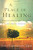 A Place of Healing: Wrestling with the Mysteries of Suffering, Pain, and God's Sovereignty