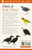 Birds of East Africa