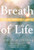 Breath of Life: God as Spirit in Judaism (Paraclete Guide)