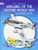 Airplanes of the Second World War Coloring Book (Dover History Coloring Book)