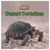 Desert Tortoises: The Library of Turtles and Tortoises