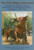 The Bull Ring Uncovered: Excavations at Edgbaston Street, Moor Street, Park Street and The Row, Birmingham City Centre, 1997-2001