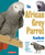 African Grey Parrot Handbook (Barron's Pet Handbooks)