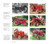 Red Tractors 1958-2013: The Authoritative Guide to Farmall, International Harvester and Case IH Farm Tractors in the Modern Era